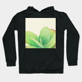 Paddle Plant Hoodie